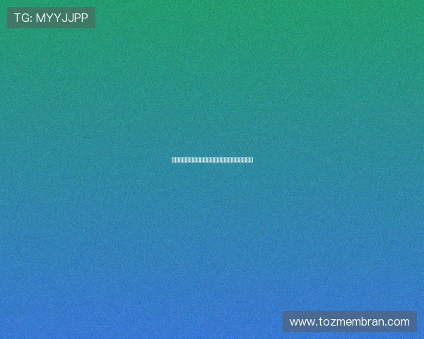 博乐真人官网网站优惠活动及每日返水福利独家揭秘