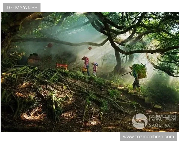 AG国际厅注册官网全面升级，详细介绍注册流程、优惠政策及玩家权益保障方案