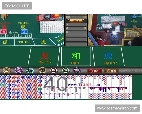 凯发押庄龙虎:结合实际案例讲解押庄龙虎的赢钱技巧与风险控制策略 凯发押庄龙虎:结合实际案例讲解押庄龙虎的赢钱技巧与风险控制策略