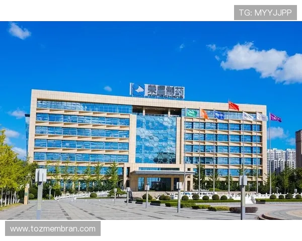 天生赢家一触即发:掌握这些策略让你在竞争中脱颖而出成为领跑者 天生赢家一触即发:掌握这些策略让你在竞争中脱颖而出成为领跑者