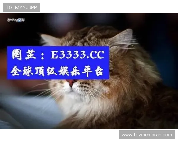 详细解析AG真人充值网址的安全性与如何避免被骗风险