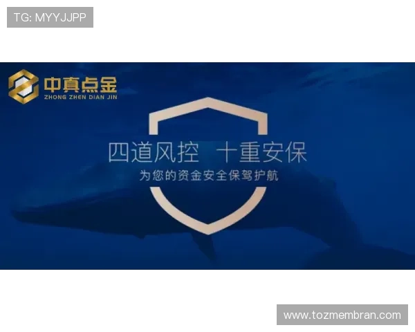 速盈在线登录安全性：如何保障您的资金安全