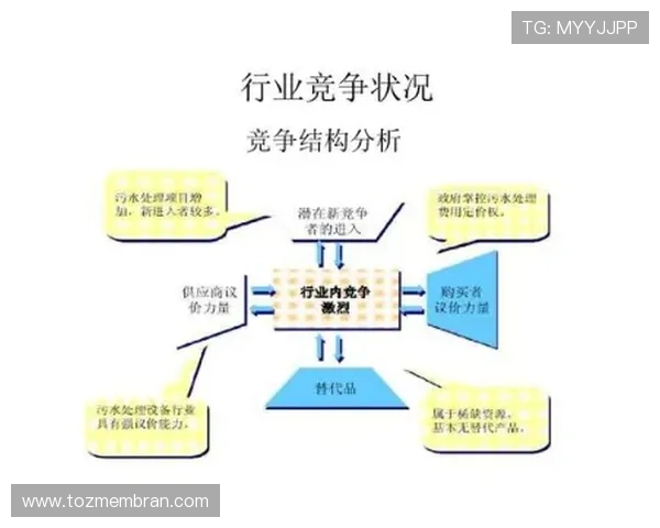 AG电投网站平台的优势分析及其在行业中的竞争地位