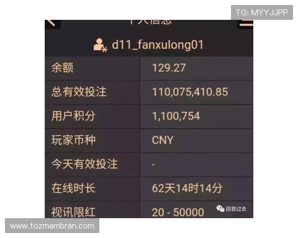 全面解析ag百家乐预测方法与策略，助你在游戏中实现稳健盈利的实用建议