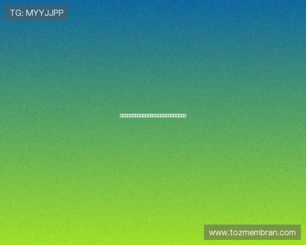 韩国与捷克在世界杯比赛中的具体规则解析与比赛安排指南 韩国与捷克在世界杯比赛中的具体规则解析与比赛安排指南